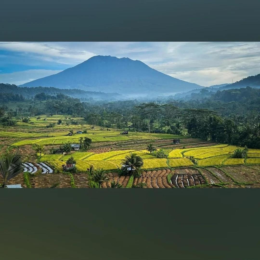 Lumbung Ayu Sari And Spa Sidemen  Εξωτερικό φωτογραφία