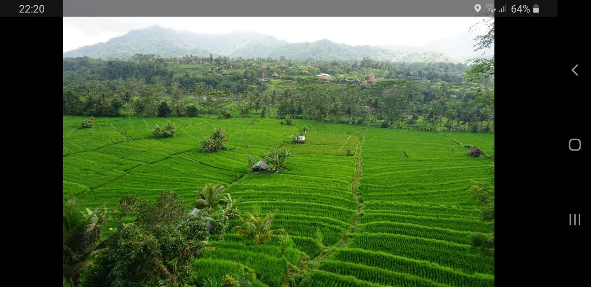 Lumbung Ayu Sari And Spa Sidemen  Εξωτερικό φωτογραφία